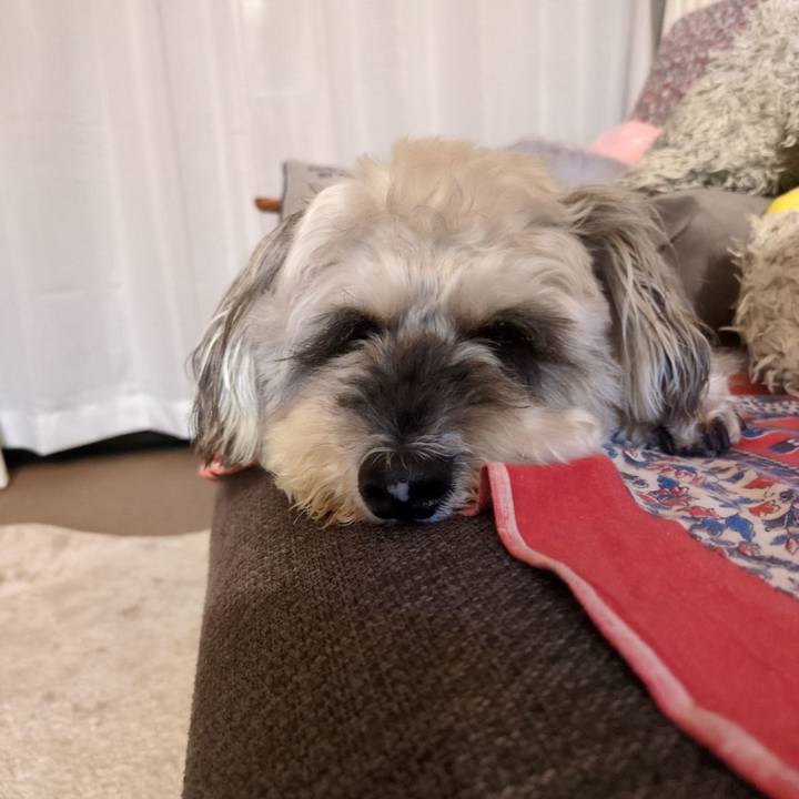 C89c0ec2 767a 4137 8dd4 db4e33a2d447 1751375751002