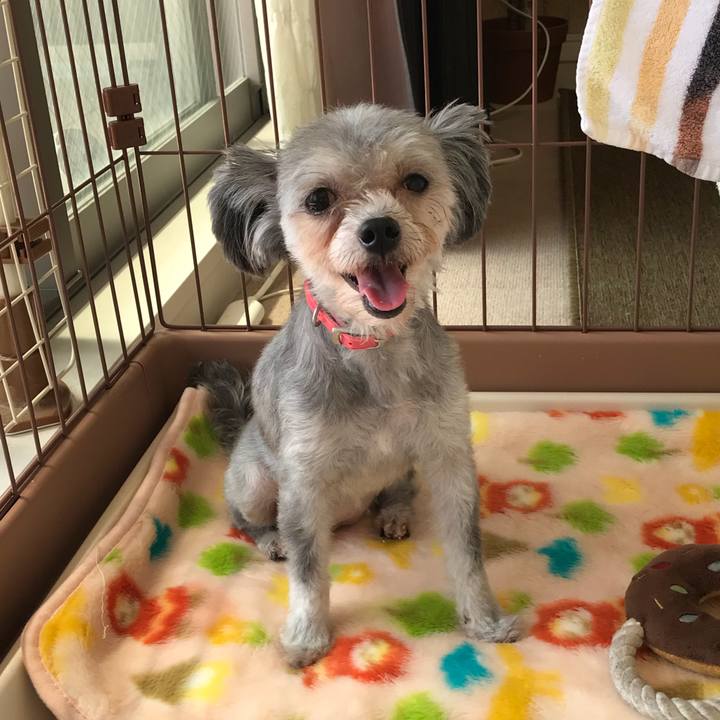 C89c5da3 8a08 441d 9705 2a0751298380 1537333268757