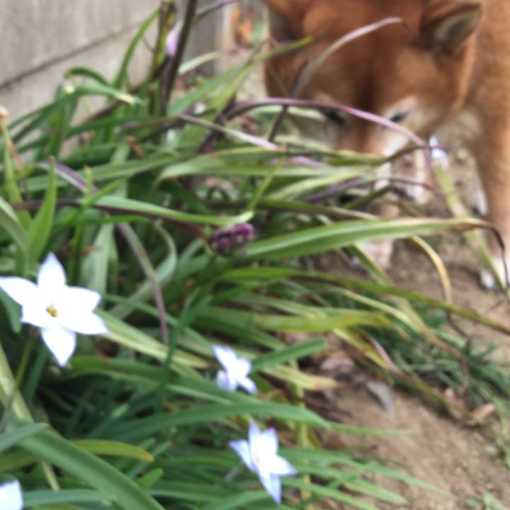 C89c6a9e b9b1 4cfa b296 3fae75fb21e0 1582635464878