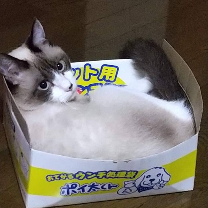 C89ce0bb 7536 4b13 81b5 d4c72bb1c278 1690547737670