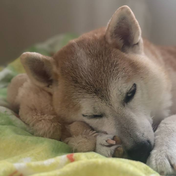 C89d0a55 ea7d 4def b2ef bb48a8bb6507 1755031571776