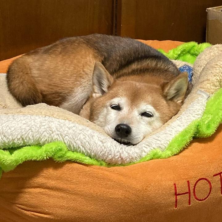 C89d2215 5d0c 472f 87b7 856f0daa1bd2 1743488951441