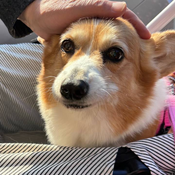 C89d24e2 6ee7 4469 8748 1d213bfd832b 1737534066082