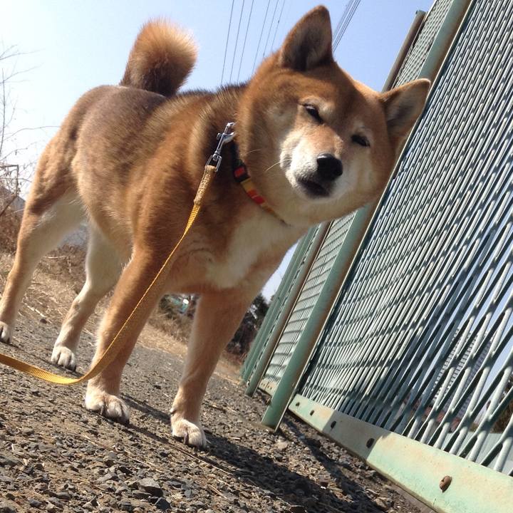 C89d2c1f 8a5c 4cac 885c 64a45d49bd4d 1518832075627