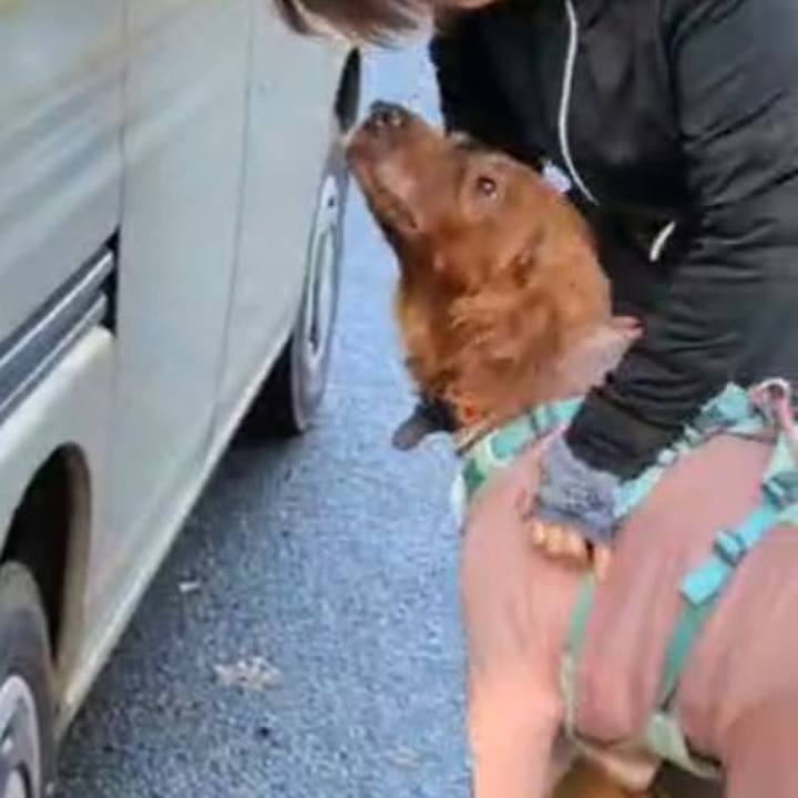 C89d4501 ae66 4788 a1a1 01757b86da07 1764650985218