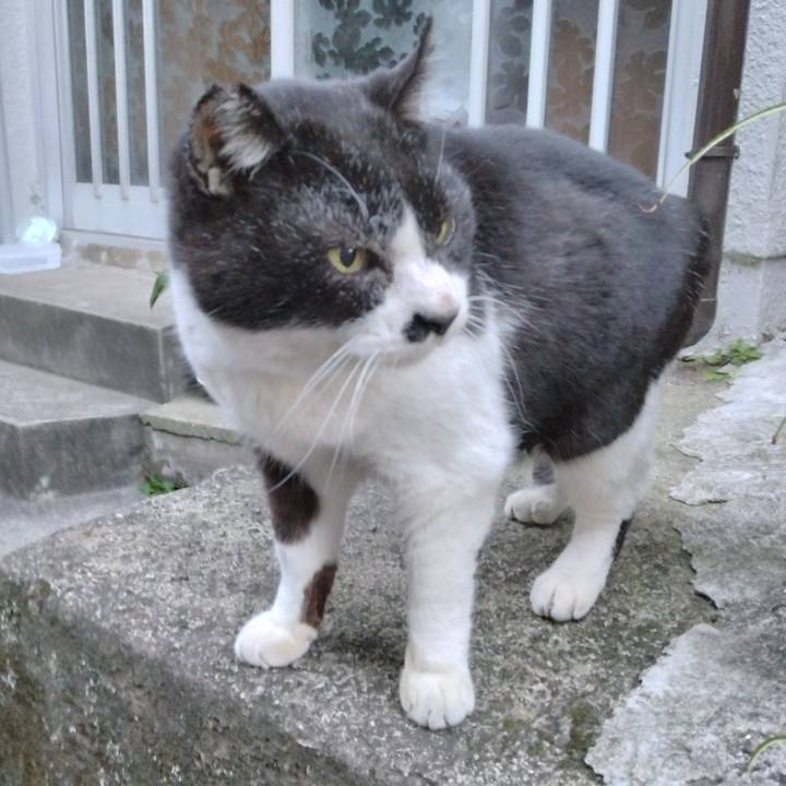 C89d5b6c aa72 4657 82ee 333c9a166c3e 1703664567422