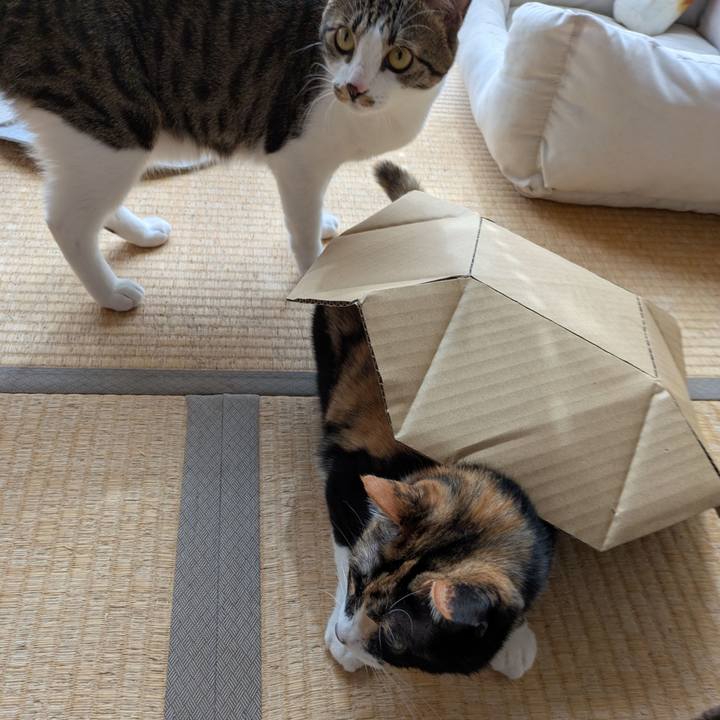 C89d64ae cd6e 45b8 b17c 105aaf0e8ebf 1751348108280