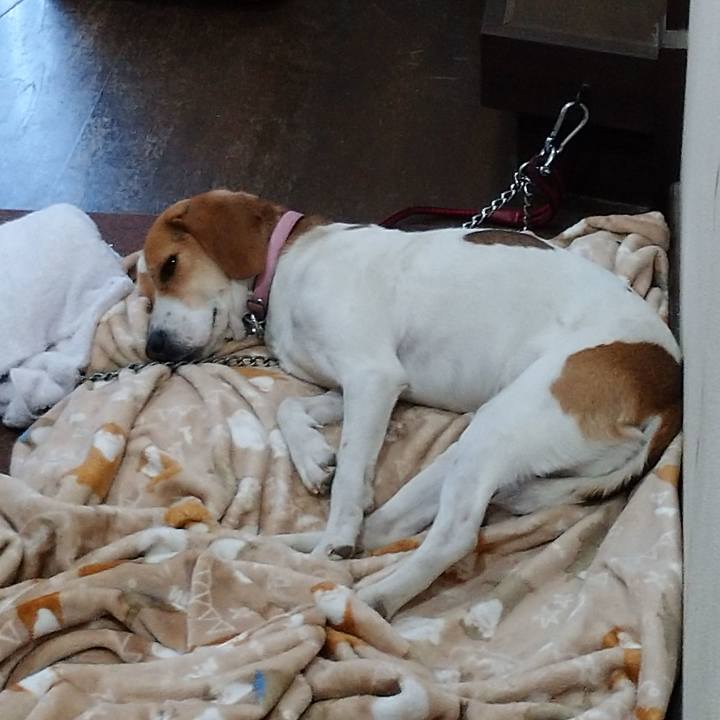 C89d874a ad81 4565 b103 f7c91381d13e 1582536098846