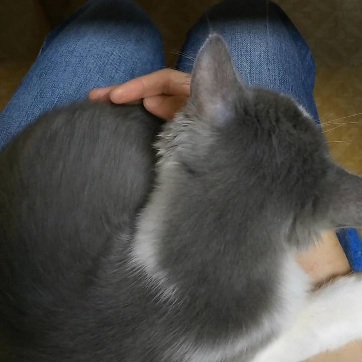 C89d9cbf d79a 47f4 bb54 8f668501969e 1566113330740