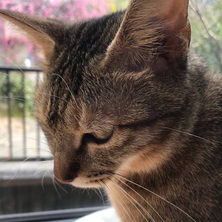 C89dbaba 4d9c 4102 9ad9 2826f8858223 1581994438419