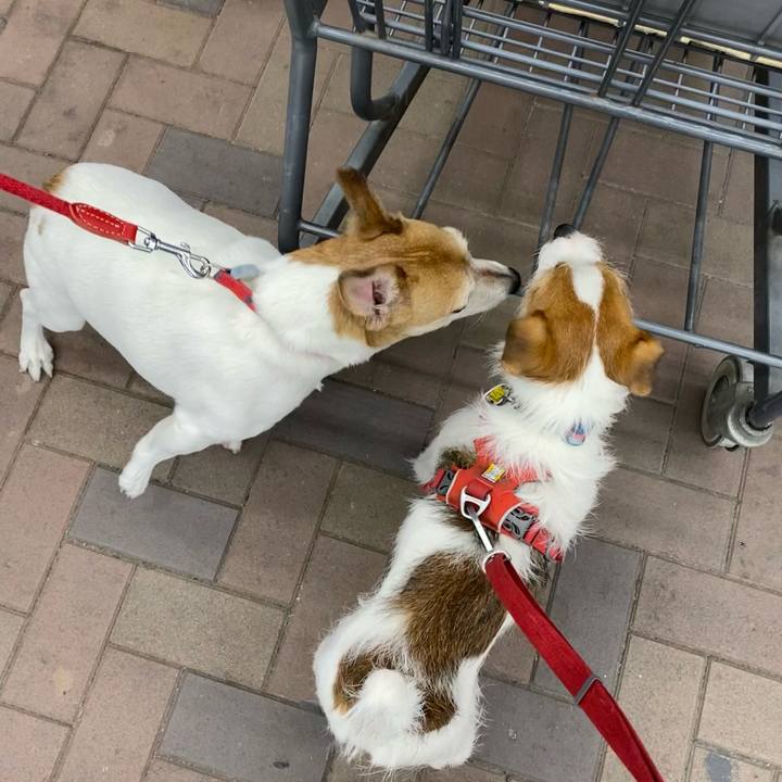 C89dbfeb 22cf 4a60 bdbf 4594a687a708 1674386214305