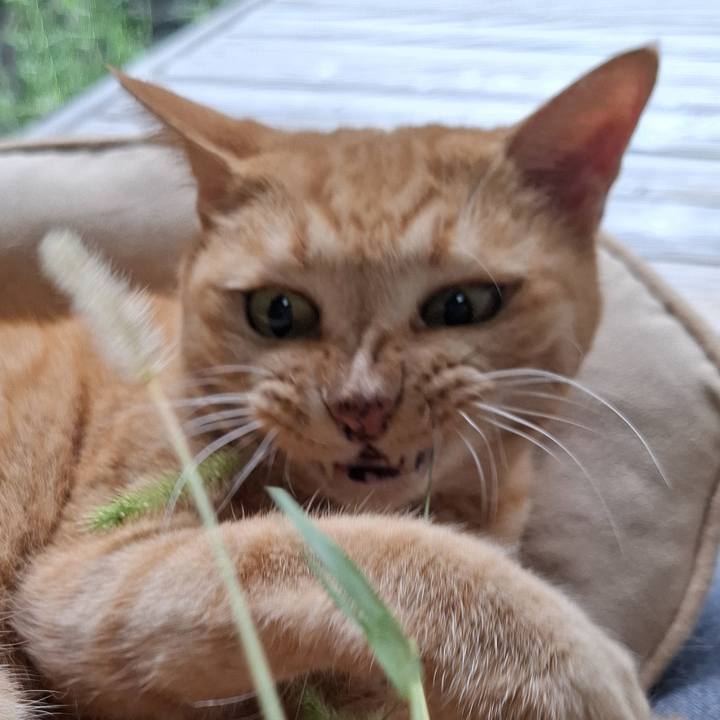 C89dc4a9 9e65 4996 abbb 11ddf652a09b 1759038615156