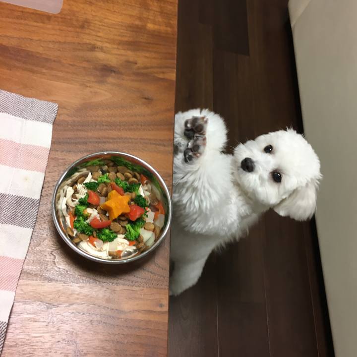 C89e0df3 78e3 4722 a47c cfa7c4cd7e2e 1514113572611