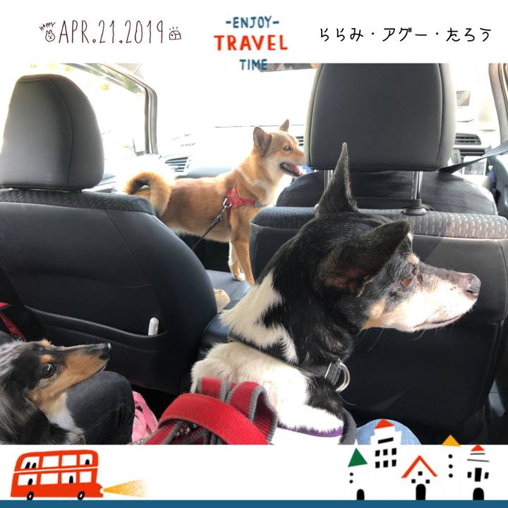 C89e0e36 cf2f 46a0 8204 adcfbb95e5ed 1555829306673