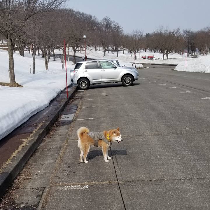 C89e1446 d60c 4a2e 9bd8 acb1036fc34a 1678340811791