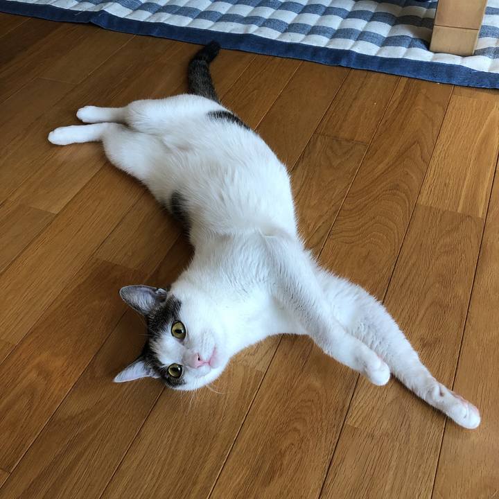 C89e9618 a3a5 447a 8fee 9739e148bcd3 1597181159299