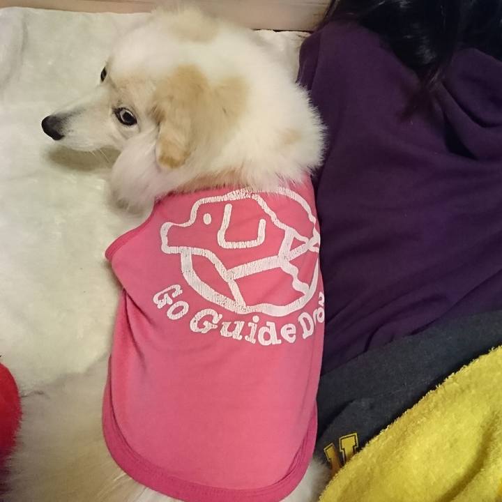 C89e9ef7 c83f 4a80 889b d96fb7f79f28 1508448621236