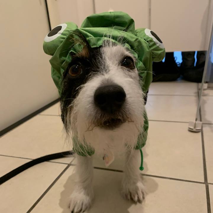 C89eb7d5 eed9 48e0 9a58 ee6974c5e684 1661846716378