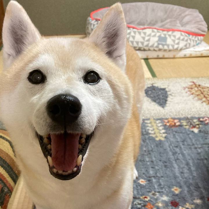 C89ec1c1 c9d2 4d21 859c 01b7aefee665 1667484844208