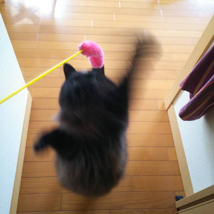 C89ec4e7 efb2 4c39 bbd9 ac5b812ca29d 1575686723954