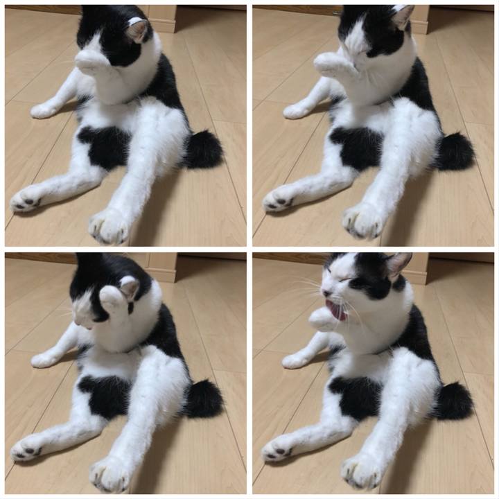 C89ee9c1 c67b 4abb 90c5 1428b4c40892 1571050996864