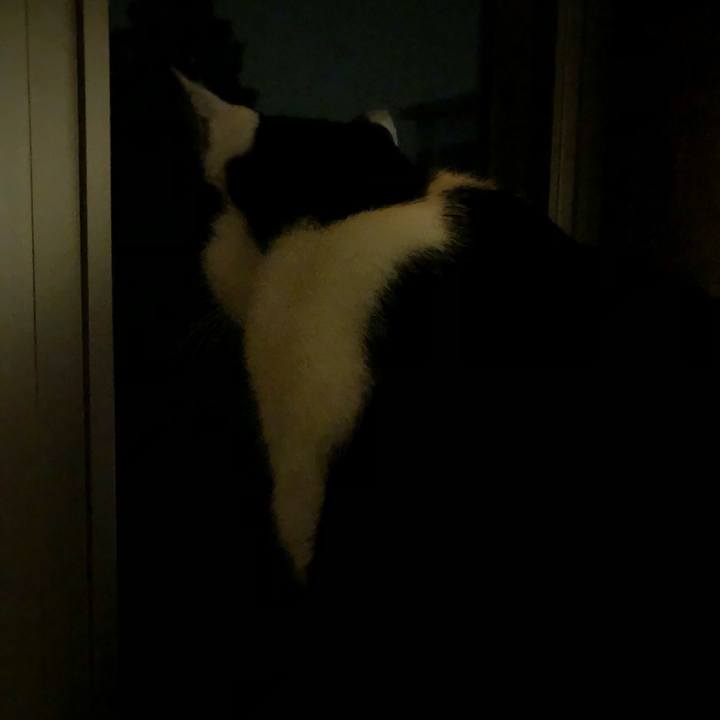 C89f24f7 dfd2 4e20 977a cc7e432375dc 1551283097128