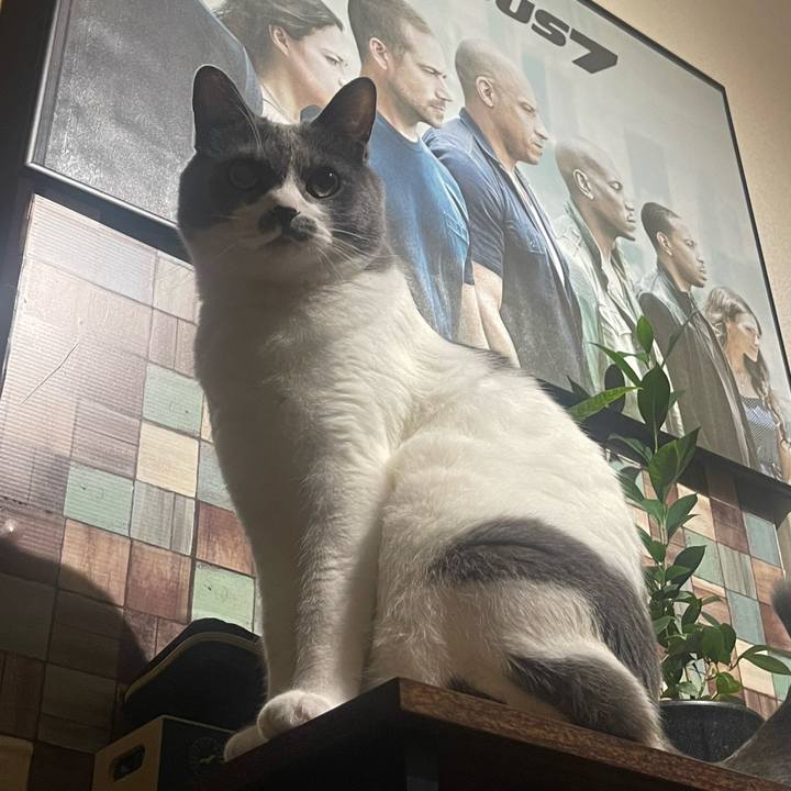 C89f29a1 656e 443f a4f2 4d6cfd339690 1720368149431