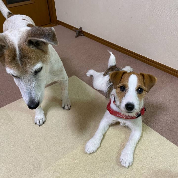 C89f324b b519 4187 87ab 817f72da9d2c 1619683357470