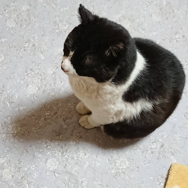 C89f5514 61ac 45bc bf58 6f7aa40524aa 1610595506648