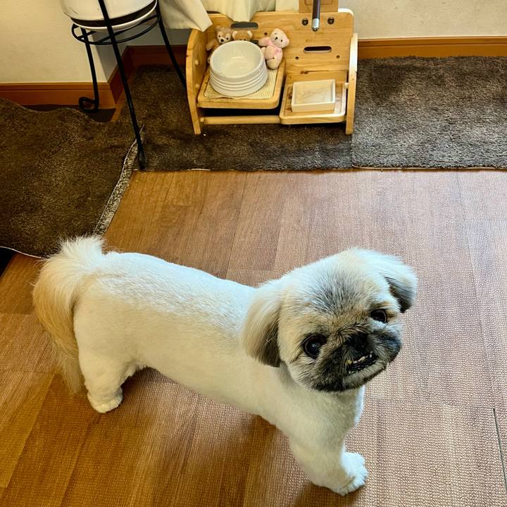 C89f76c9 f750 429c b5f0 93713dc50c50 1741232441173