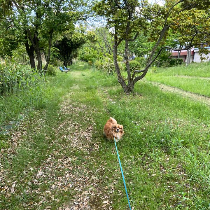 C89f85a5 c704 4b3f 8430 6d5bbb0fa6ba 1589494797113