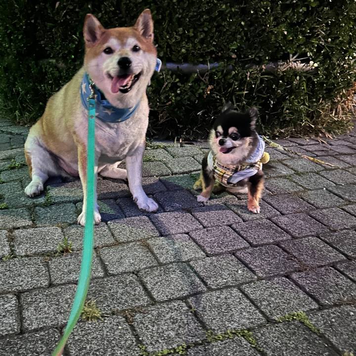 C89f8718 b22a 46bf 89b5 e5bc0d5c3365 1724070176455