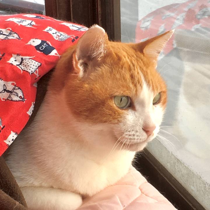 C89f8826 49d9 4e02 9afc b0a8c0e46488 1580700587053