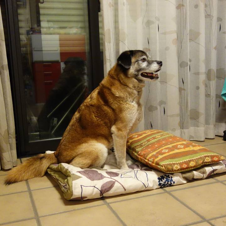 C89fd59f 7608 47b0 a9da ee76251dd301 1672105101638