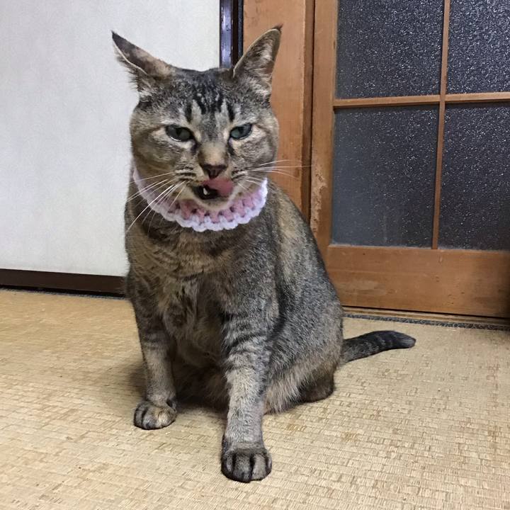 C8a001c6 c81d 4cbf 9631 664f42d1414a 1749716439980