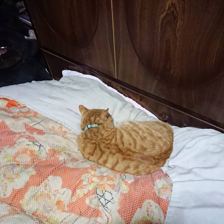 C8a02edc 2666 43a9 8d1c ed3e84ff7e33 1584272981949