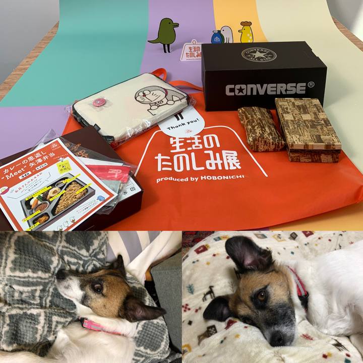 C8a042e7 da9d 4762 942b 7451afe323fc 1651561783207