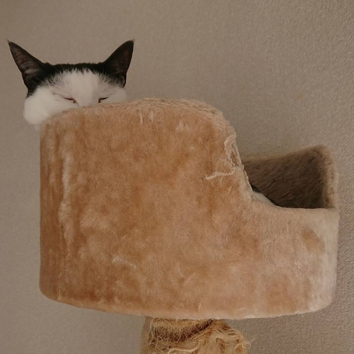 C8a07763 afdc 44fc 8f38 cd21dbd20a19 1515029082348