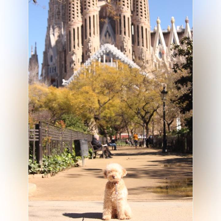 C8a09f96 b5ab 48db 8db2 d400e617e791 1520352714615