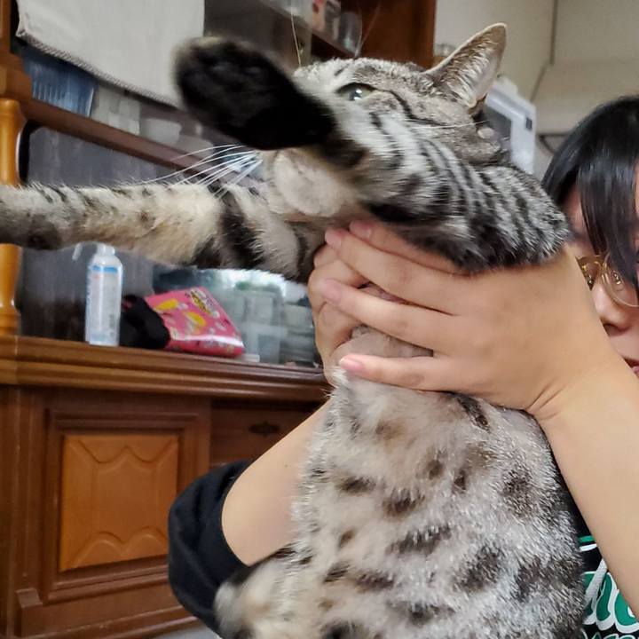 C8a0e286 f804 4499 9397 5680949a9b7b 1713853453015