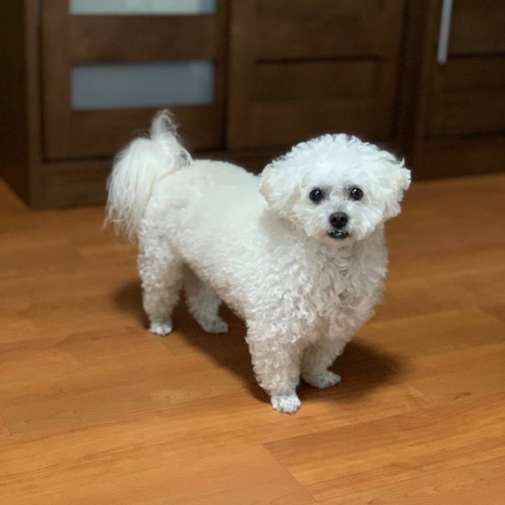 C8a10852 0b77 434e a576 dcd6e0019dff 1669792264140