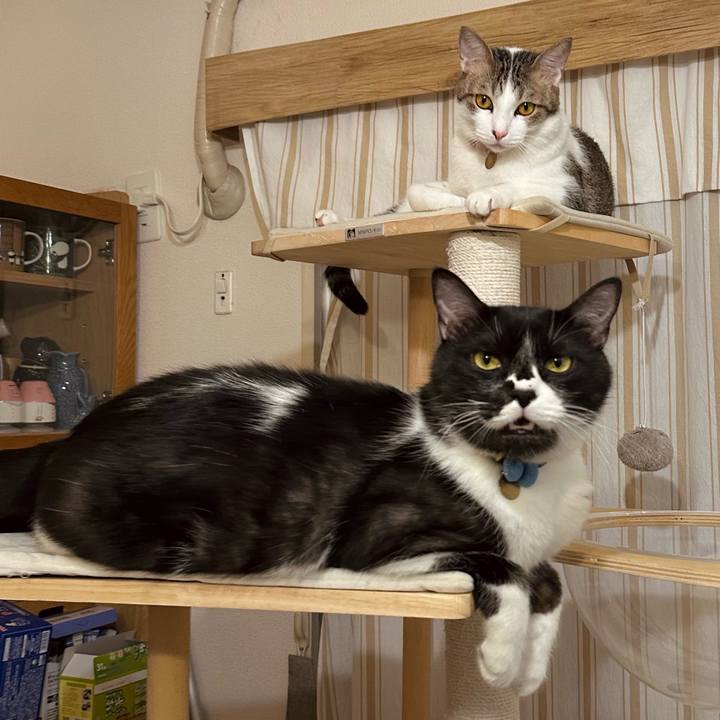 C8a15aea eb99 451e 8a46 edc90c7cc0c5 1777043743245