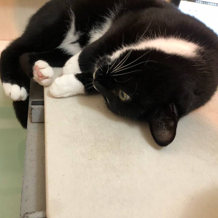 C8a169a4 c555 4296 be27 18dc0def8c1f 1582752840254