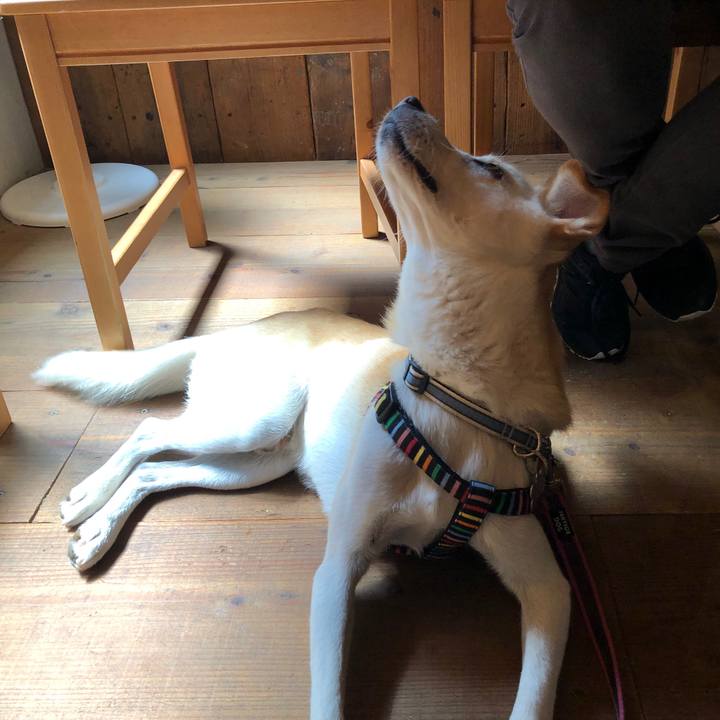 C8a1924f 2475 4ad8 95f1 7188c3f3e653 1629554335074