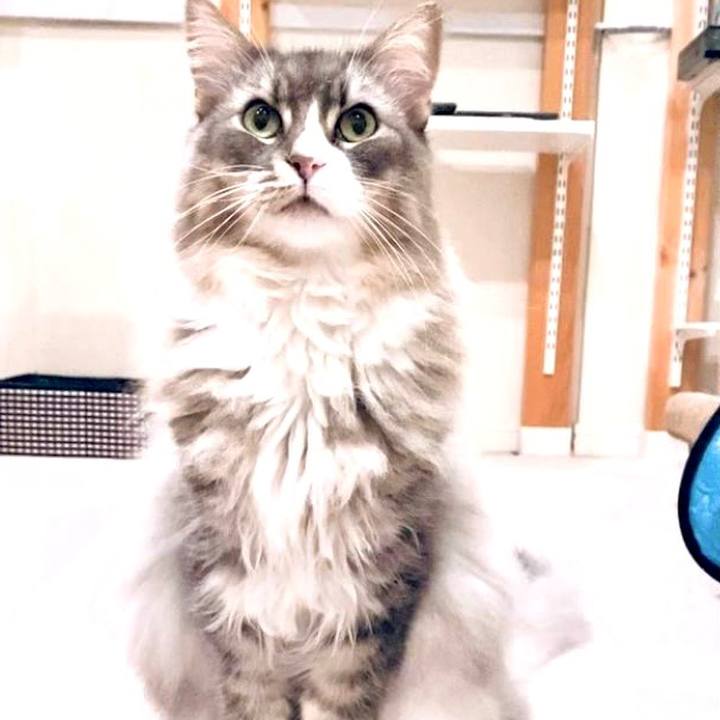 C8a1b81d 8f21 4bd0 a4a0 185faf664221 1643563255359