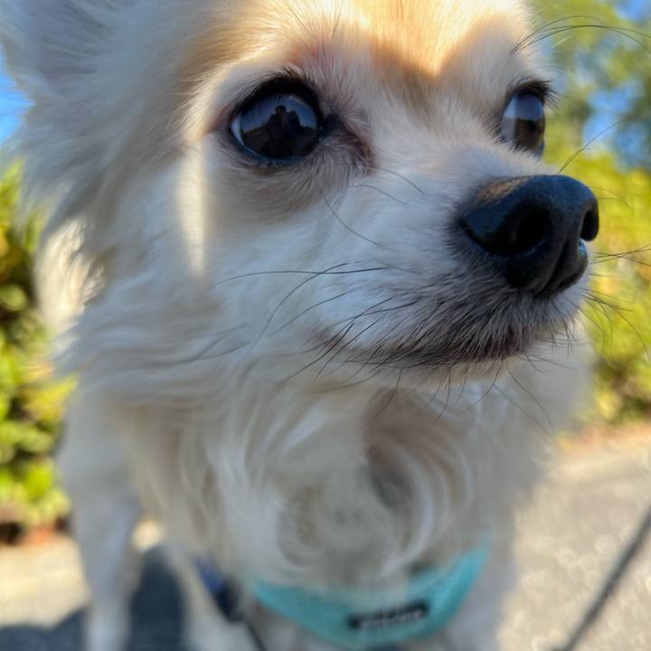 C8a1e145 b48c 4283 8949 3f3841bb2314 1737245878251