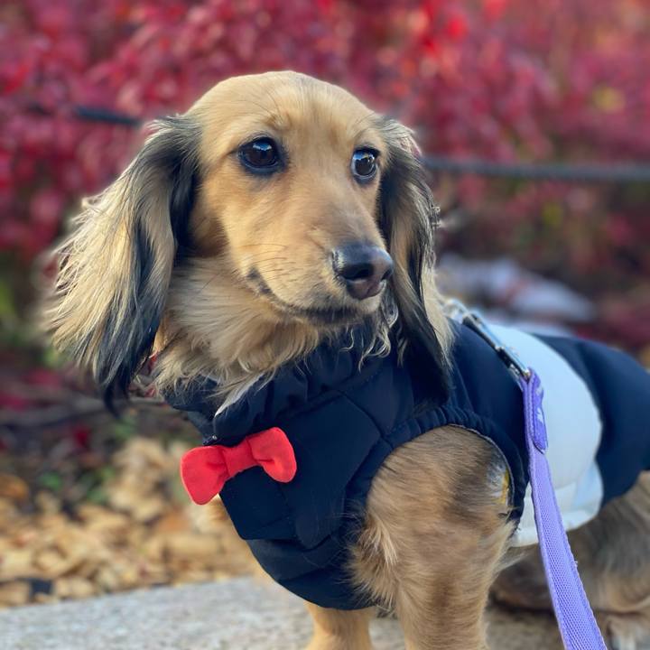 C8a2044a 2fb7 40bc a22c 3776655f6b42 1641709109532