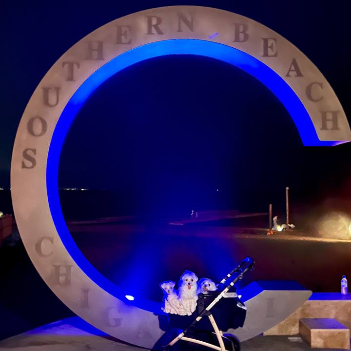 C8a22445 f282 4d91 b56b b42b0a76f5f9 1692530668050