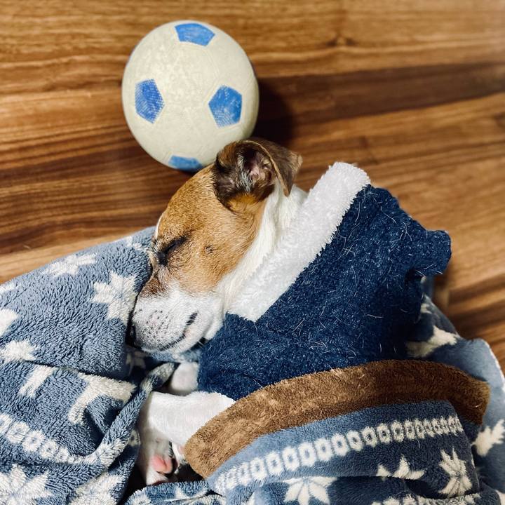 C8a24f20 c4eb 49f9 b424 31f100dd7abd 1739528277505