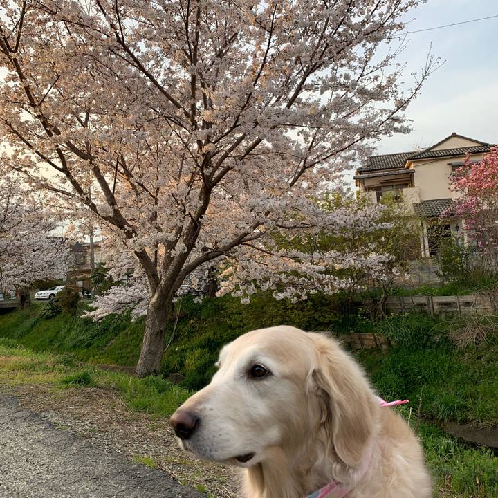 C8a2be3d b25b 4e38 999e 6f11e0ad76f4 1616836372286